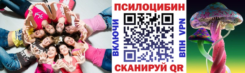Купить закладки  Наро-Фоминск  Галлюциногенные грибы Cubensis 
