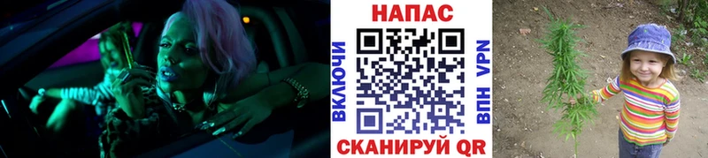 Купить  Наро-Фоминск  Марихуана сатива 